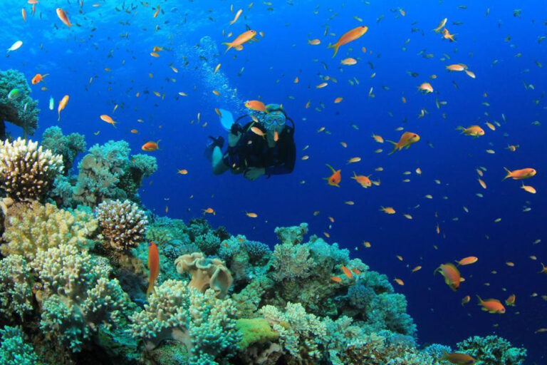 Diving in Kemer