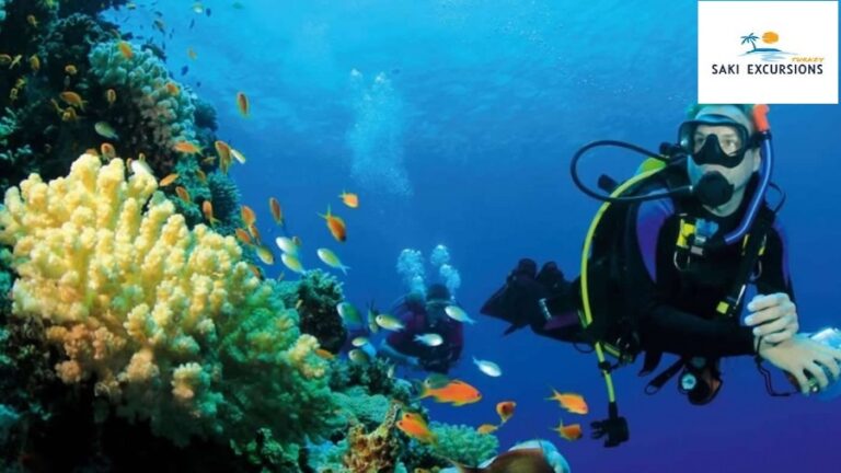 Diving in Kemer