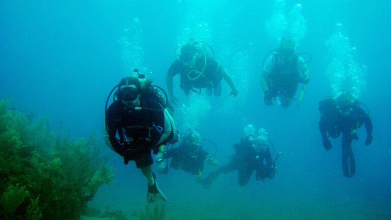 Diving in Kemer