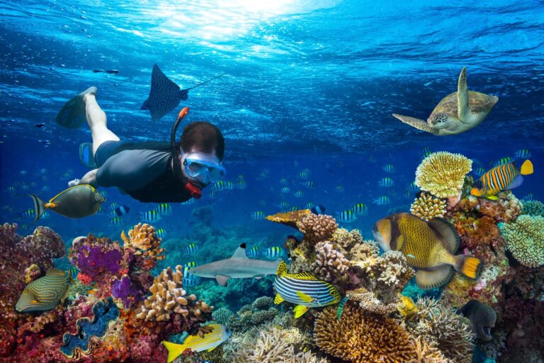 Diving
