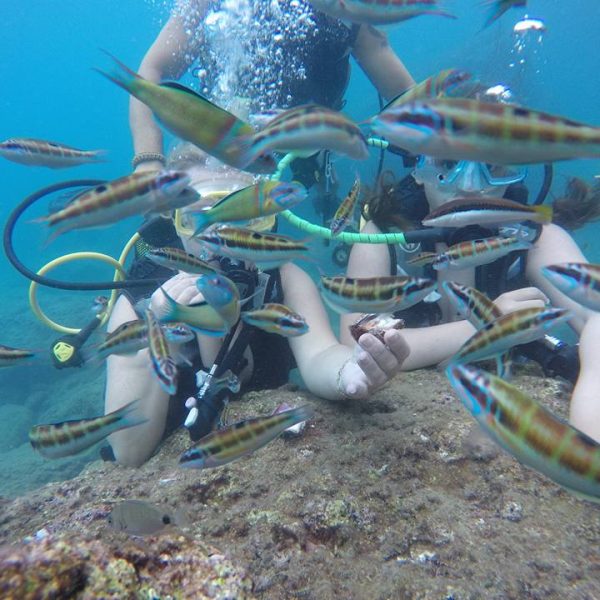 Diving in Kemer - Turkiye Saki Tours