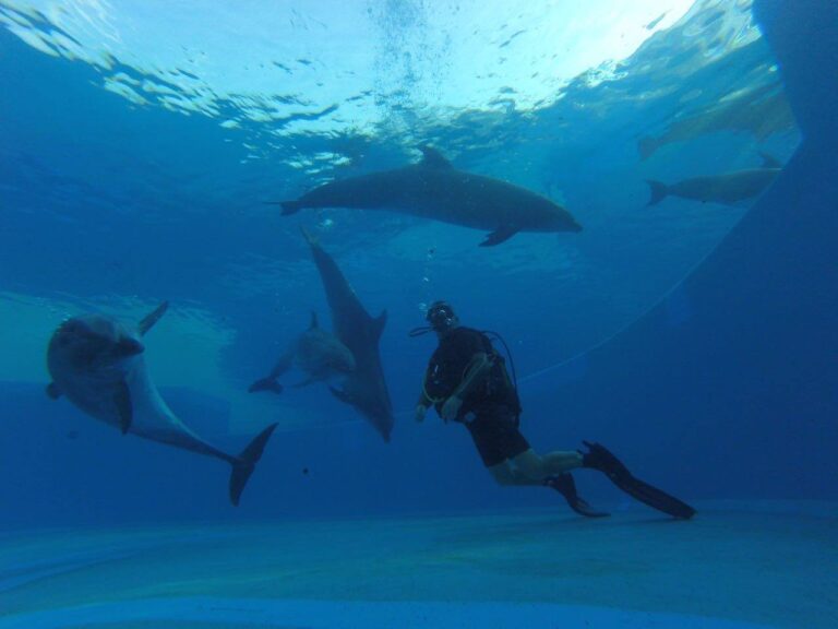 Diving in Kemer