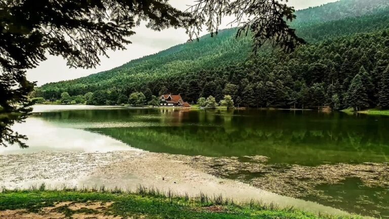 Sapanca & Masukiye Tour (Gold Package)
