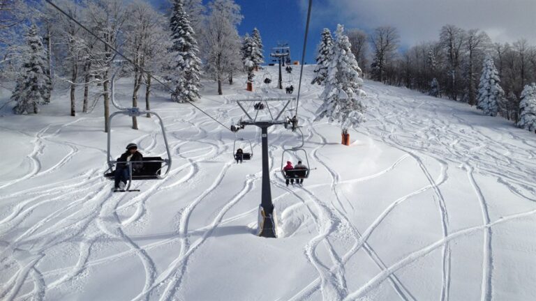 Sapanca & Masukiye Tour (Gold Package)