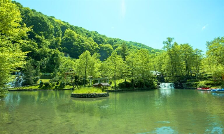 Sapanca & Masukiye Tour (Gold Package)