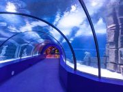 Antalya Aquarium - The World's Largest Tunnel Aquarium - Turkiye Saki Tours