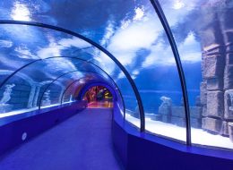 Antalya Aquarium - The World's Largest Tunnel Aquarium - Turkiye Saki Tours