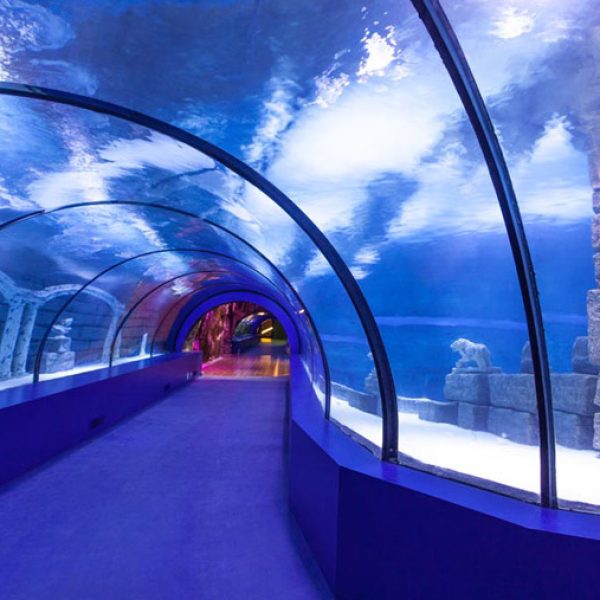Antalya Aquarium - The World's Largest Tunnel Aquarium - Turkiye Saki Tours
