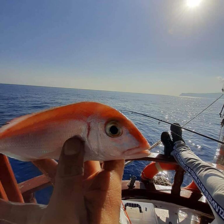 Kemer Fishing Tour
