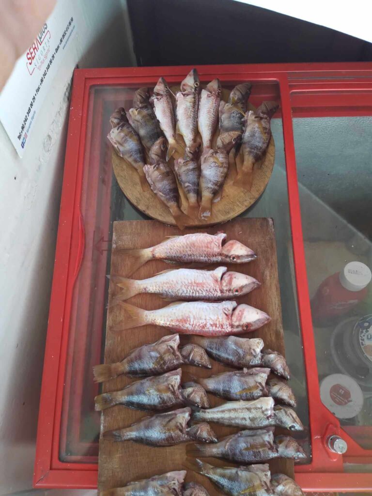 Kemer Fishing Tour