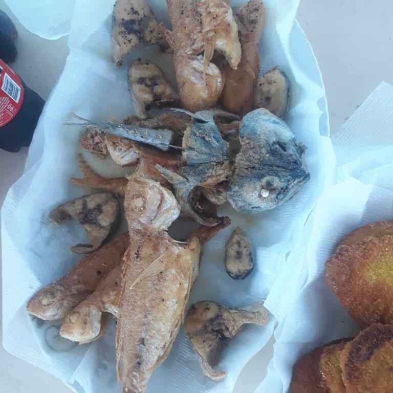 Kemer Fishing Tour