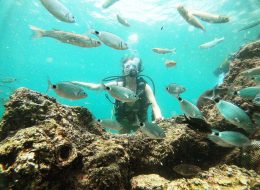 Búvárkodás Kusadasiban - Turkiye Saki Tours