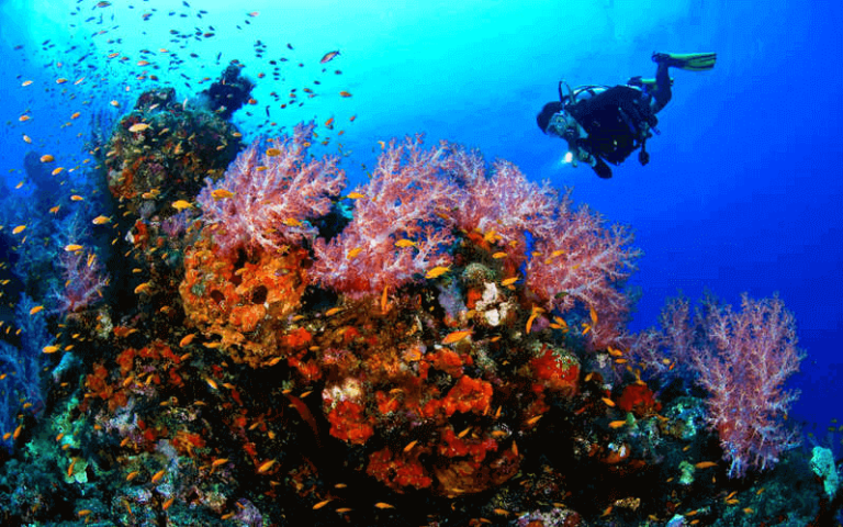 Diving in Kusadasi