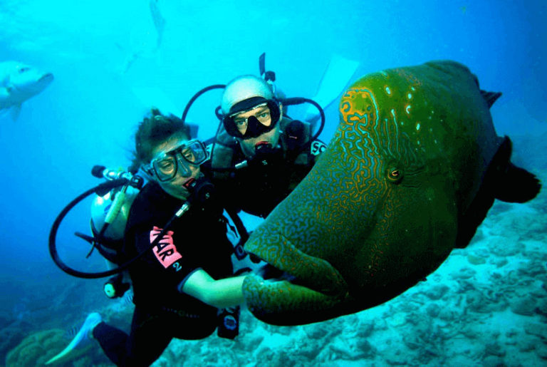 Diving in Kusadasi