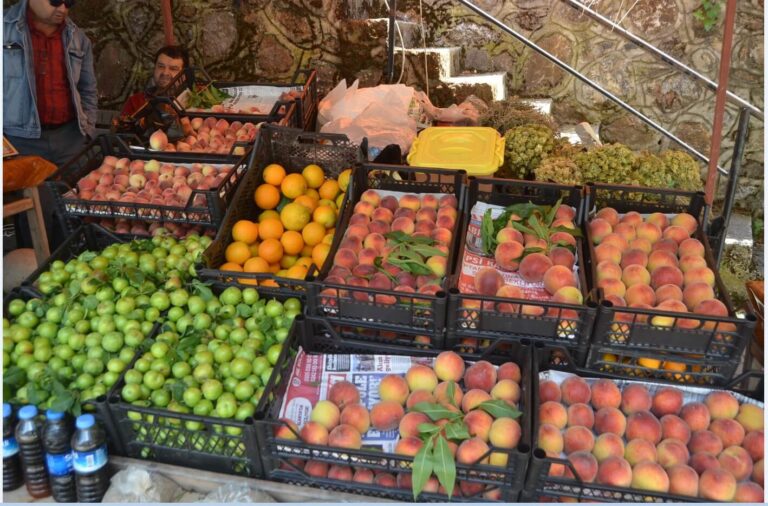 Alanya City Tour – All in One