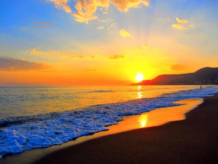 Alanya Night Safari Combo Tour