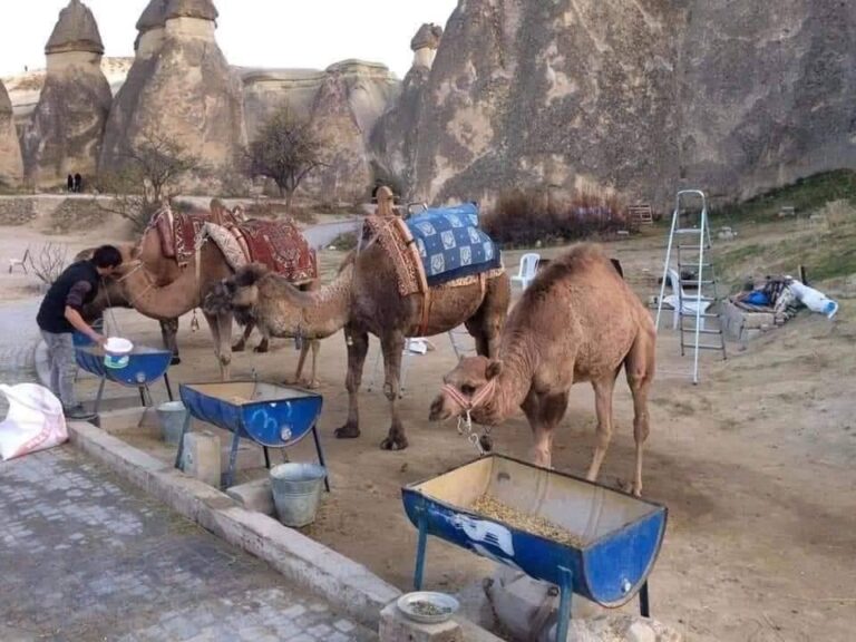 Cappadocia Tour (2 Days -1 Night)