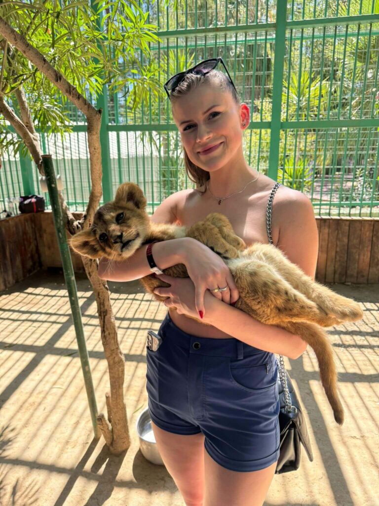 Lion Park Safari (Cabrio Bus & Boat Tour & Lion Park)