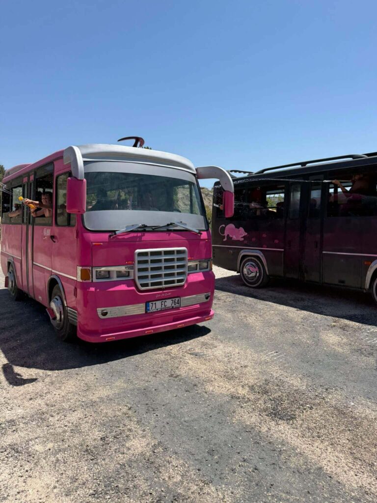 Lion Park Safari (Cabrio Bus & Boat Tour & Lion Park)