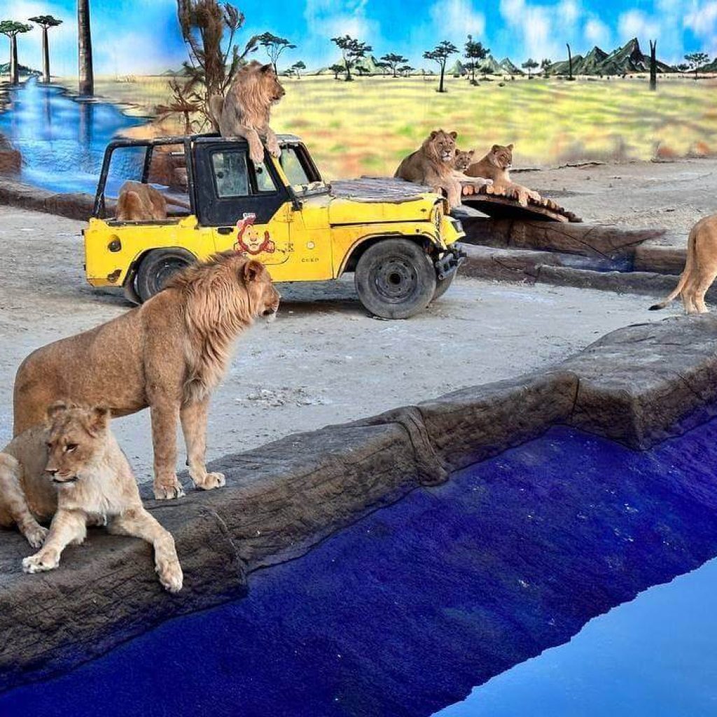 Saki Tours