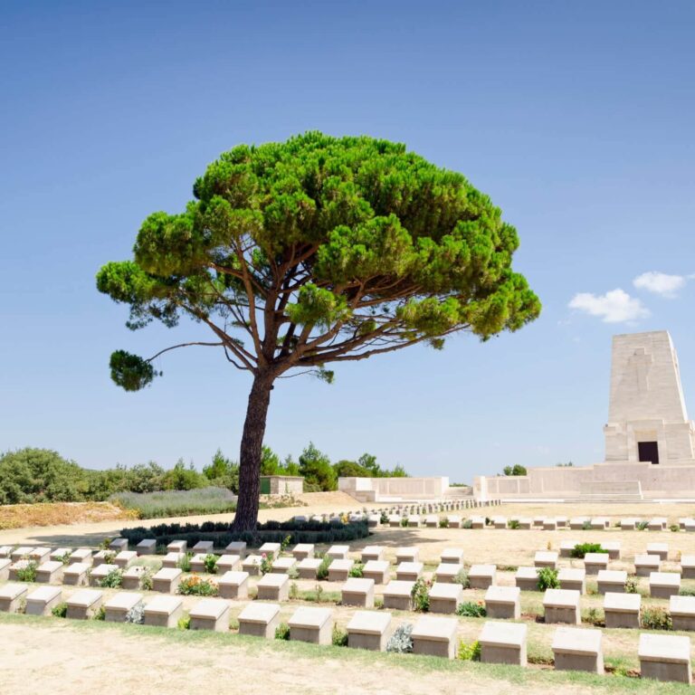 Istanbul Daily Gallipoli (Gelibolu) Tour