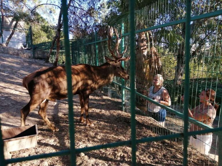Afternoon Green Canyon & Zoo & Manavgat Waterfall Tour (from Alanya & Side Areas)